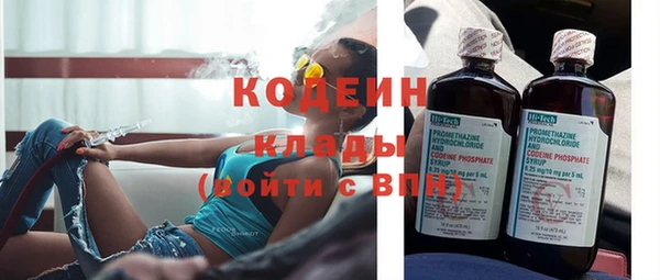 стаф Богданович