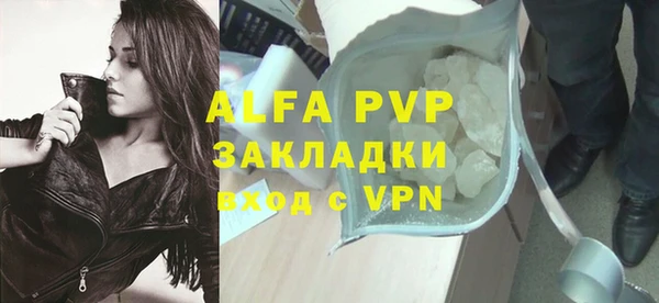 стаф Богданович