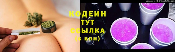 стаф Богданович