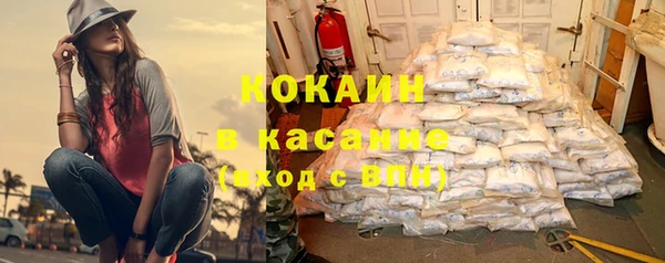 стаф Богданович