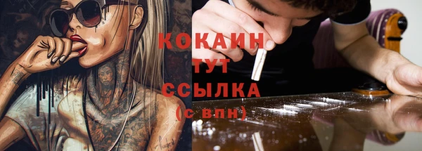 стаф Богданович