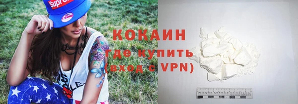 стаф Богданович