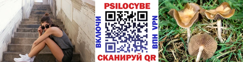 Галлюциногенные грибы Magic Shrooms  Томилино 